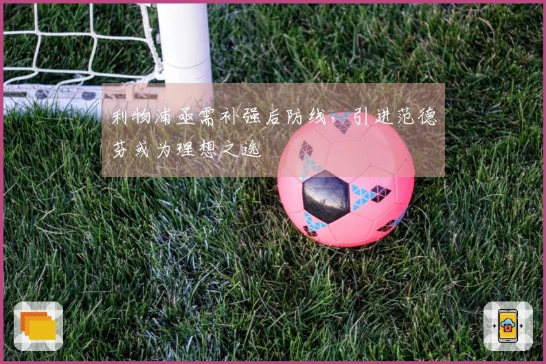 利物浦亟需补强后防线，引进范德芬或为理想之选